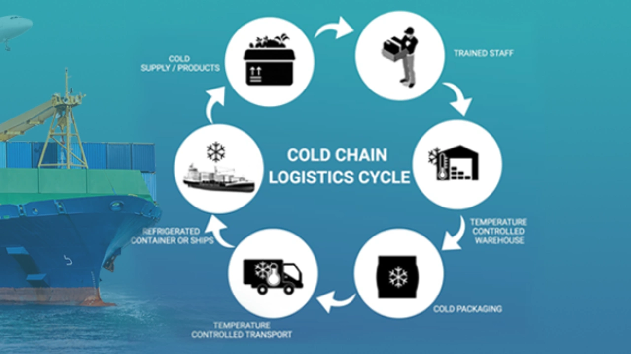 Cold Chain Logistics